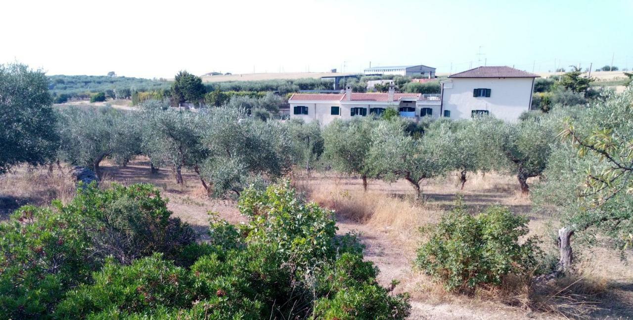 Dimore All'Ofra Matera Exterior photo